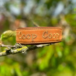 Broderi p� l�der (dobbelt l�der halsb�nd)