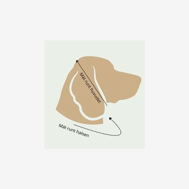 S� m�ler du din hund