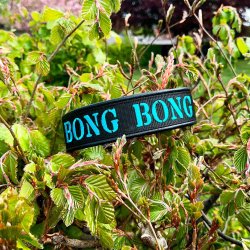  Broderi p� webbing (l�der/webbing halsb�nd)
